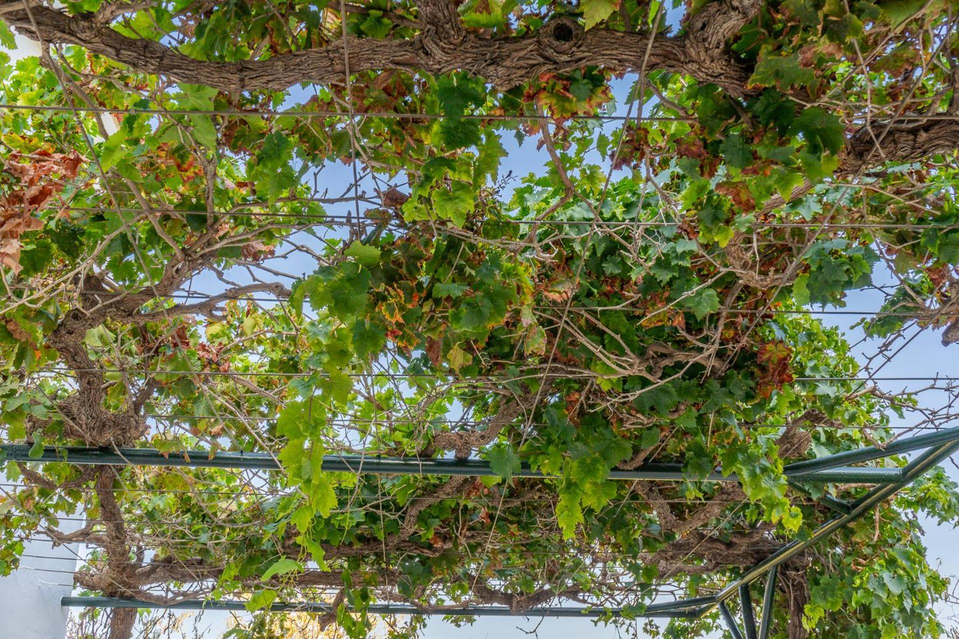 Paredones III Casa Rural Caminito Del Rey Эль-Чорро Экстерьер фото